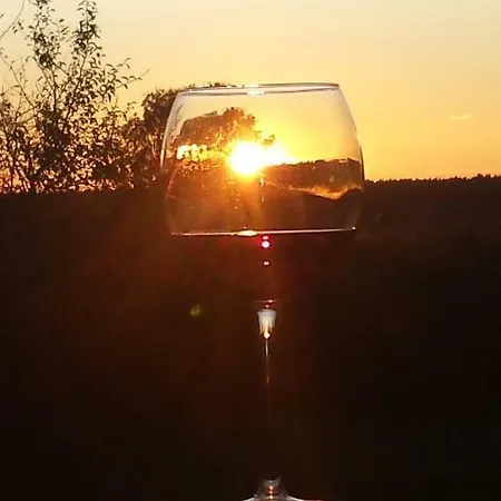 Wildholz Sachsen Apartment Weidenhain