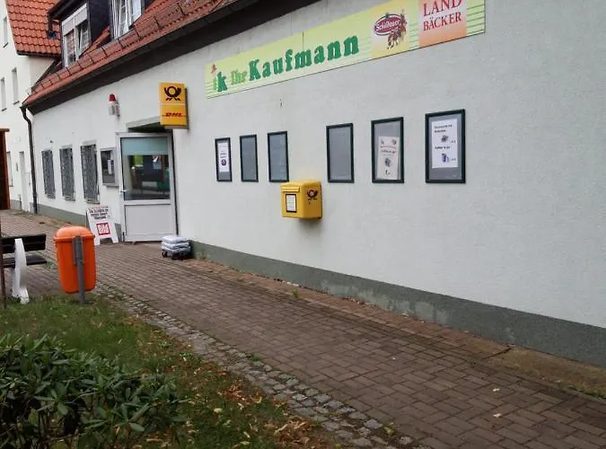 Wildholz Sachsen * Weidenhain