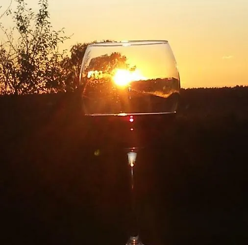 Wildholz Sachsen Apartment Weidenhain