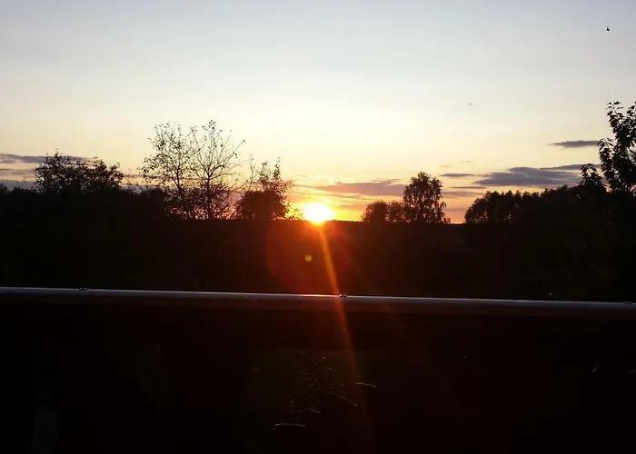 Wildholz Sachsen * Weidenhain